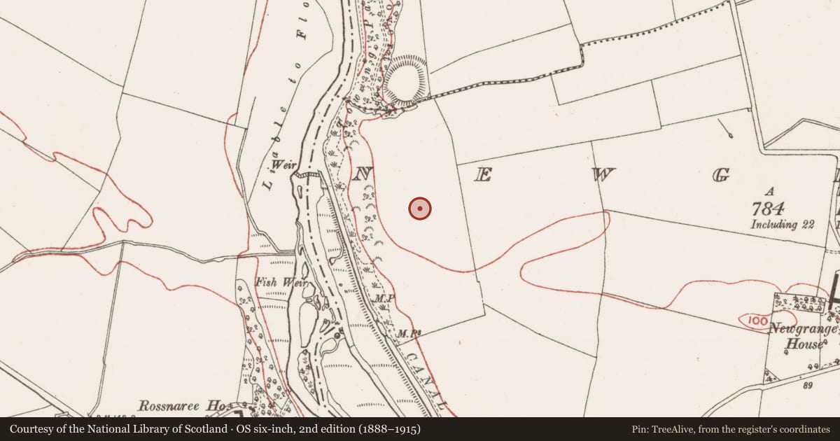Ordnance Survey six-inch map, 2nd edition (1888–1915) covering the location of Enclosure, Newgrange, County Meath, with a pin at the register's coordinates