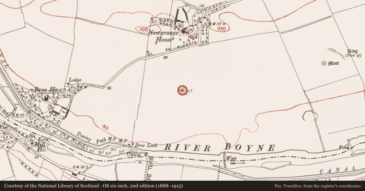Ordnance Survey six-inch map, 2nd edition (1888–1915) covering the location of Ritual site - pond, Newgrange, County Meath, with a pin at the register's coordinates