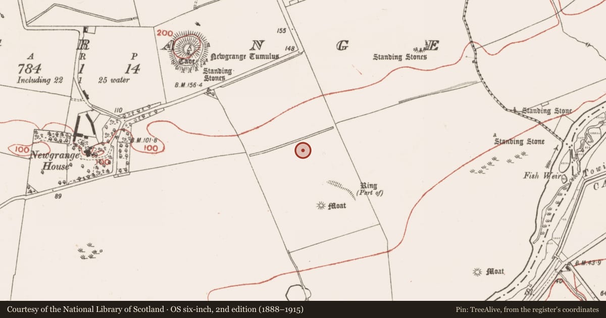 Ordnance Survey six-inch map, 2nd edition (1888–1915) covering the location of Linear earthwork, Newgrange, County Meath, with a pin at the register's coordinates