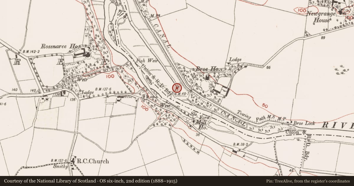 Ordnance Survey six-inch map, 2nd edition (1888–1915) covering the location of Mill - corn, Newgrange, County Meath, with a pin at the register's coordinates
