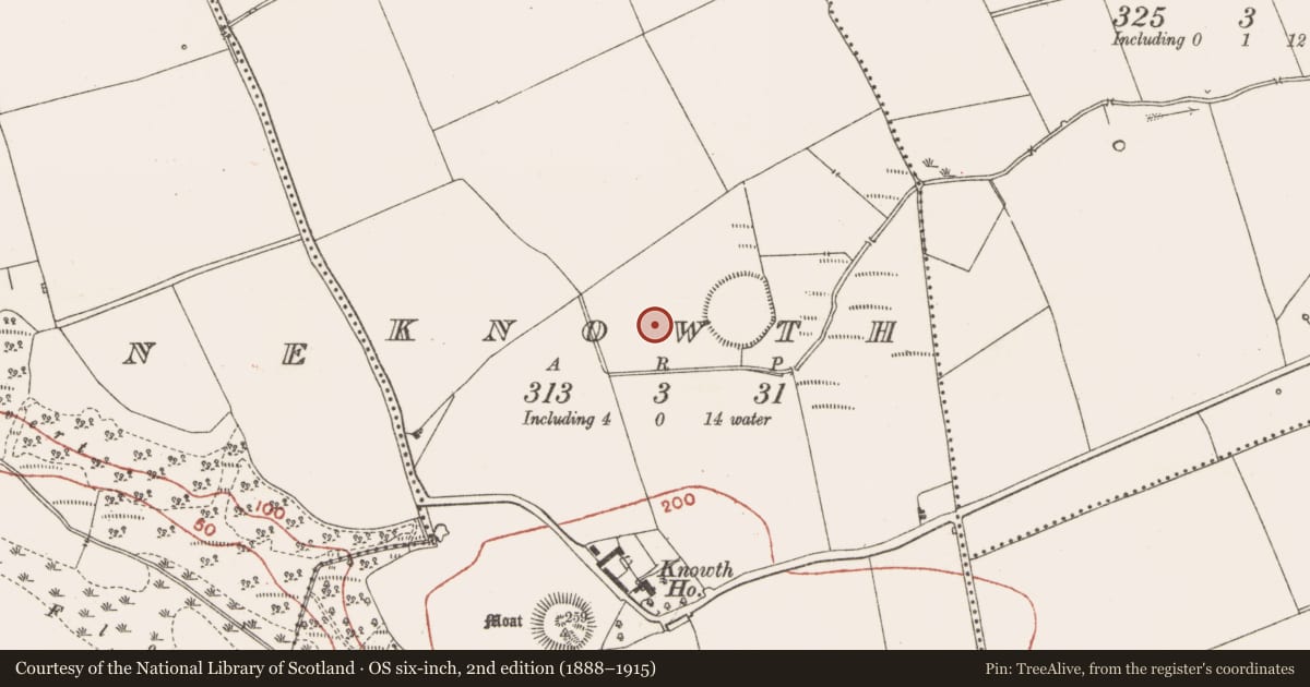 Ordnance Survey six-inch map, 2nd edition (1888–1915) covering the location of Enclosure, Knowth, County Meath, with a pin at the register's coordinates