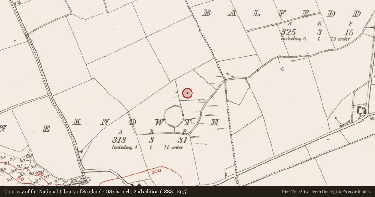 Ordnance Survey six-inch map, 2nd edition (1888–1915) covering the location of Enclosure, Knowth, County Meath, with a pin at the register's coordinates