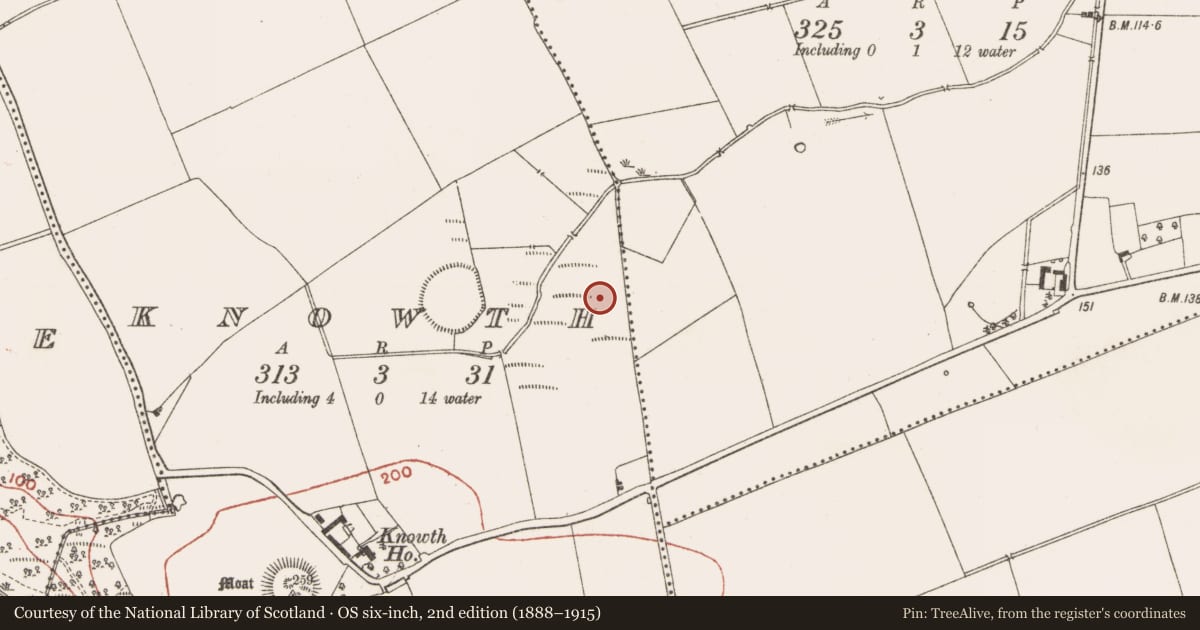 Ordnance Survey six-inch map, 2nd edition (1888–1915) covering the location of Enclosure, Knowth, County Meath, with a pin at the register's coordinates