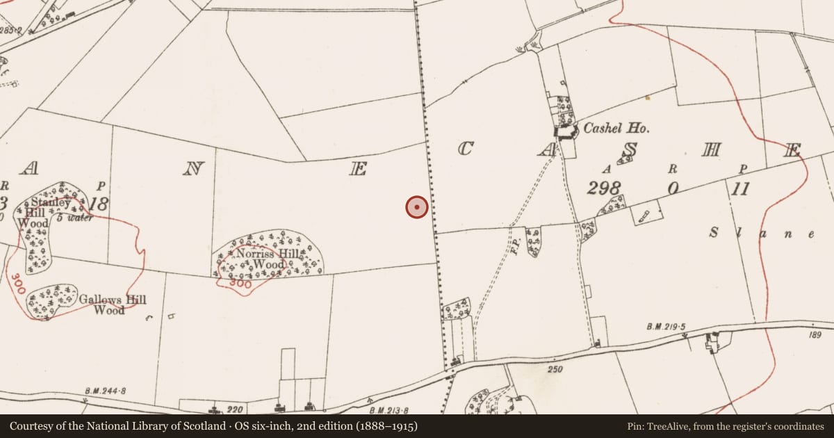 Ordnance Survey six-inch map, 2nd edition (1888–1915) covering the location of Enclosure, Slane, County Meath, with a pin at the register's coordinates