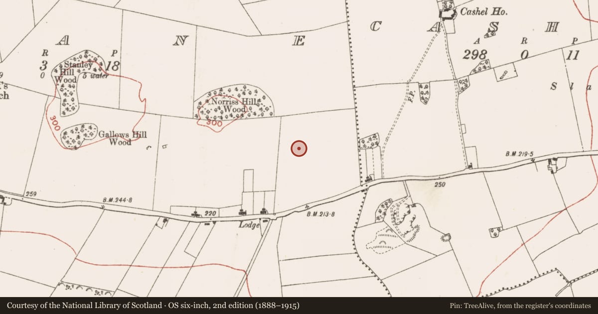 Ordnance Survey six-inch map, 2nd edition (1888–1915) covering the location of Linear earthwork, Slane, County Meath, with a pin at the register's coordinates