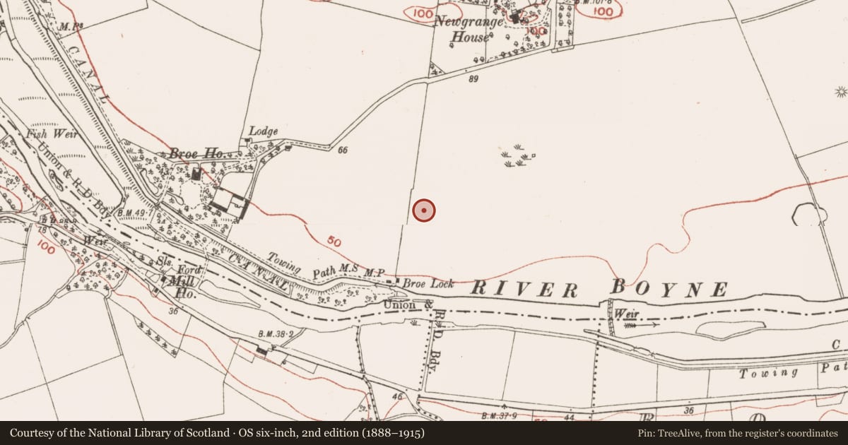 Ordnance Survey six-inch map, 2nd edition (1888–1915) covering the location of Henge, Newgrange, County Meath, with a pin at the register's coordinates