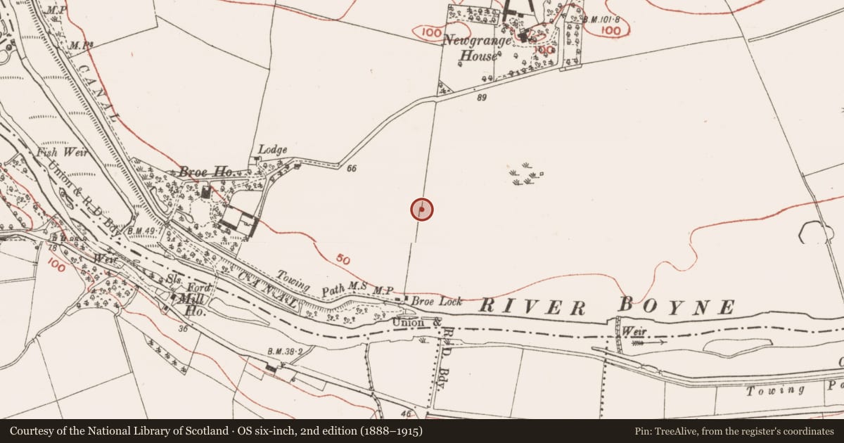 Ordnance Survey six-inch map, 2nd edition (1888–1915) covering the location of Long mortuary enclosure, Newgrange, County Meath, with a pin at the register's coordinates