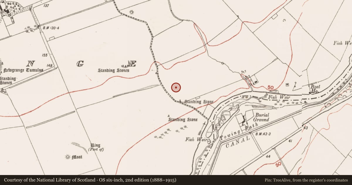 Ordnance Survey six-inch map, 2nd edition (1888–1915) covering the location of Embanked enclosure, Dowth, County Meath, with a pin at the register's coordinates