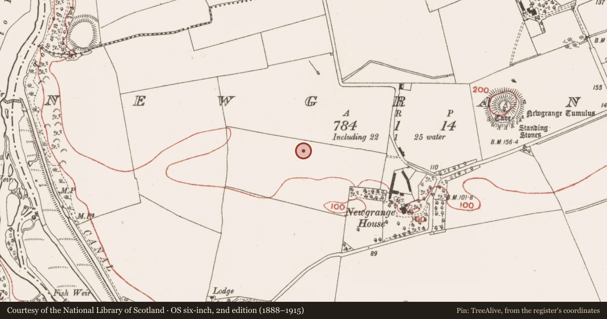 Ordnance Survey six-inch map, 2nd edition (1888–1915) covering the location of Enclosure, Newgrange, County Meath, with a pin at the register's coordinates