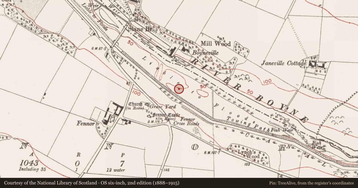 Ordnance Survey six-inch map, 2nd edition (1888–1915) covering the location of Mill - unclassified, Fennor, County Meath, with a pin at the register's coordinates