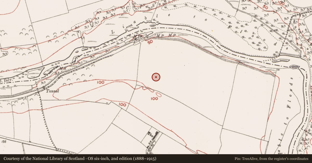 Ordnance Survey six-inch map, 2nd edition (1888–1915) covering the location of Ring-ditch, Rossnaree, County Meath, with a pin at the register's coordinates