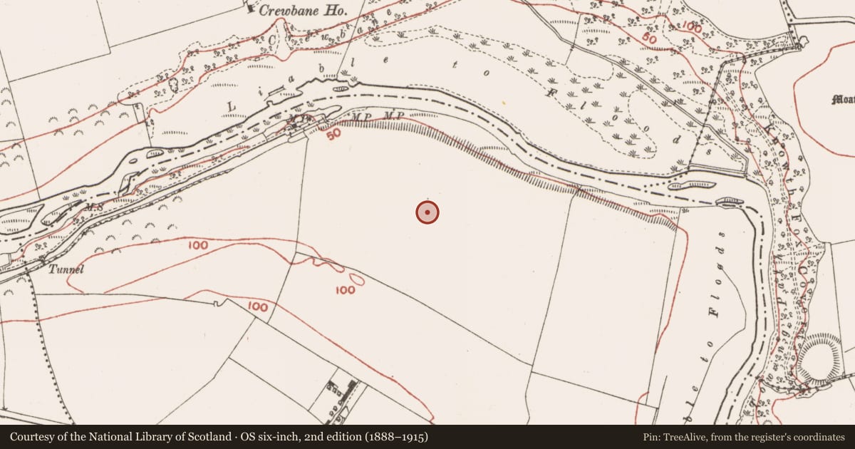 Ordnance Survey six-inch map, 2nd edition (1888–1915) covering the location of Ring-ditch, Rossnaree, County Meath, with a pin at the register's coordinates