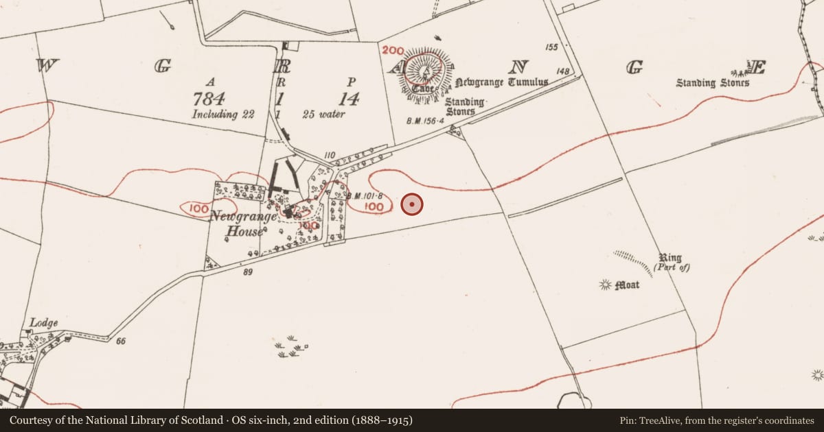 Ordnance Survey six-inch map, 2nd edition (1888–1915) covering the location of Cursus, Newgrange, County Meath, with a pin at the register's coordinates