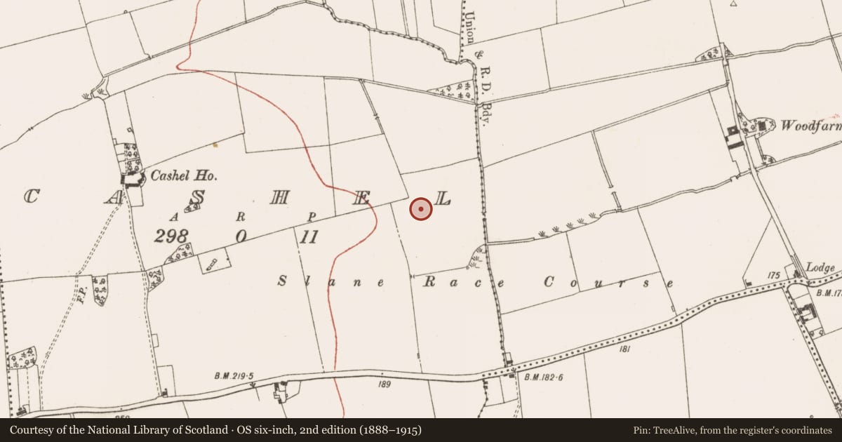 Ordnance Survey six-inch map, 2nd edition (1888–1915) covering the location of Enclosure, Cashel, County Meath, with a pin at the register's coordinates