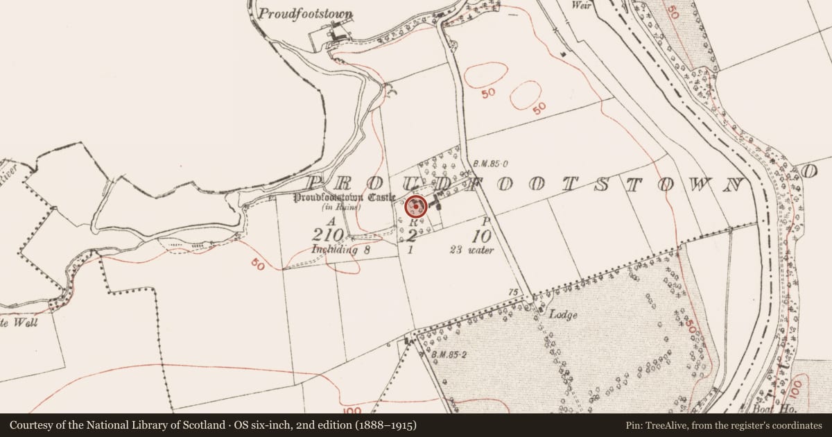 Ordnance Survey six-inch map, 2nd edition (1888–1915) covering the location of Castle - unclassified, Proudfootstown, County Meath, with a pin at the register's coordinates