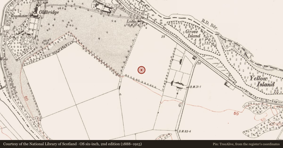 Ordnance Survey six-inch map, 2nd edition (1888–1915) covering the location of Enclosure, Oldbridge, County Meath, with a pin at the register's coordinates