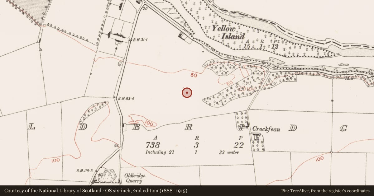 Ordnance Survey six-inch map, 2nd edition (1888–1915) covering the location of Souterrain, Oldbridge, County Meath, with a pin at the register's coordinates