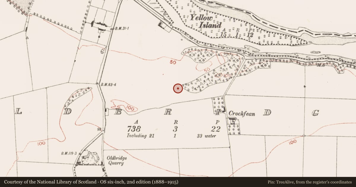 Ordnance Survey six-inch map, 2nd edition (1888–1915) covering the location of Standing stone, Oldbridge, County Meath, with a pin at the register's coordinates