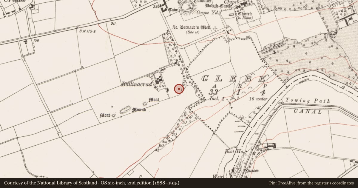 Ordnance Survey six-inch map, 2nd edition (1888–1915) covering the location of Mound, Dowth, County Meath, with a pin at the register's coordinates