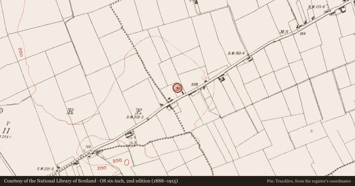 Ordnance Survey six-inch map, 2nd edition (1888–1915) covering the location of Ringfort - rath, Rathmullan, County Meath, with a pin at the register's coordinates