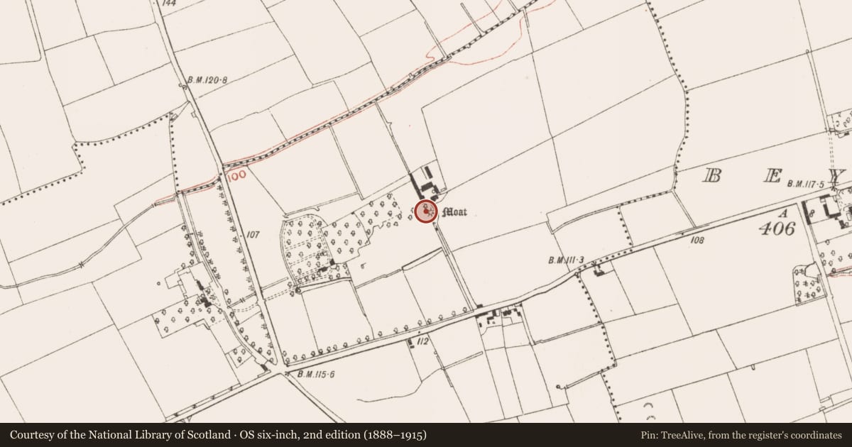 Ordnance Survey six-inch map, 2nd edition (1888–1915) covering the location of Mound, Bey More, County Meath, with a pin at the register's coordinates