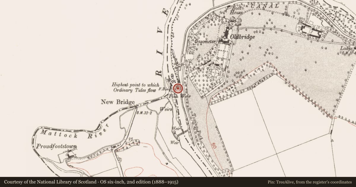 Ordnance Survey six-inch map, 2nd edition (1888–1915) covering the location of Weir - fish, Oldbridge, Proudfootstown, County Meath, with a pin at the register's coordinates