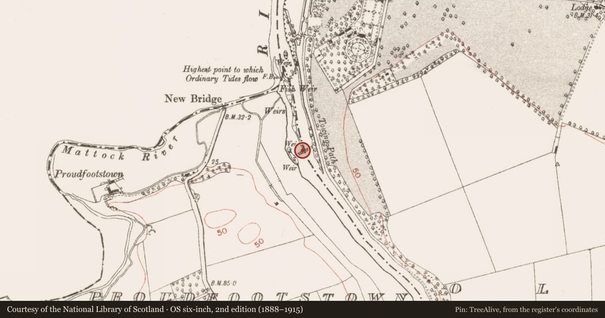 Ordnance Survey six-inch map, 2nd edition (1888–1915) covering the location of Weir - fish, Oldbridge, Proudfootstown, County Meath, with a pin at the register's coordinates