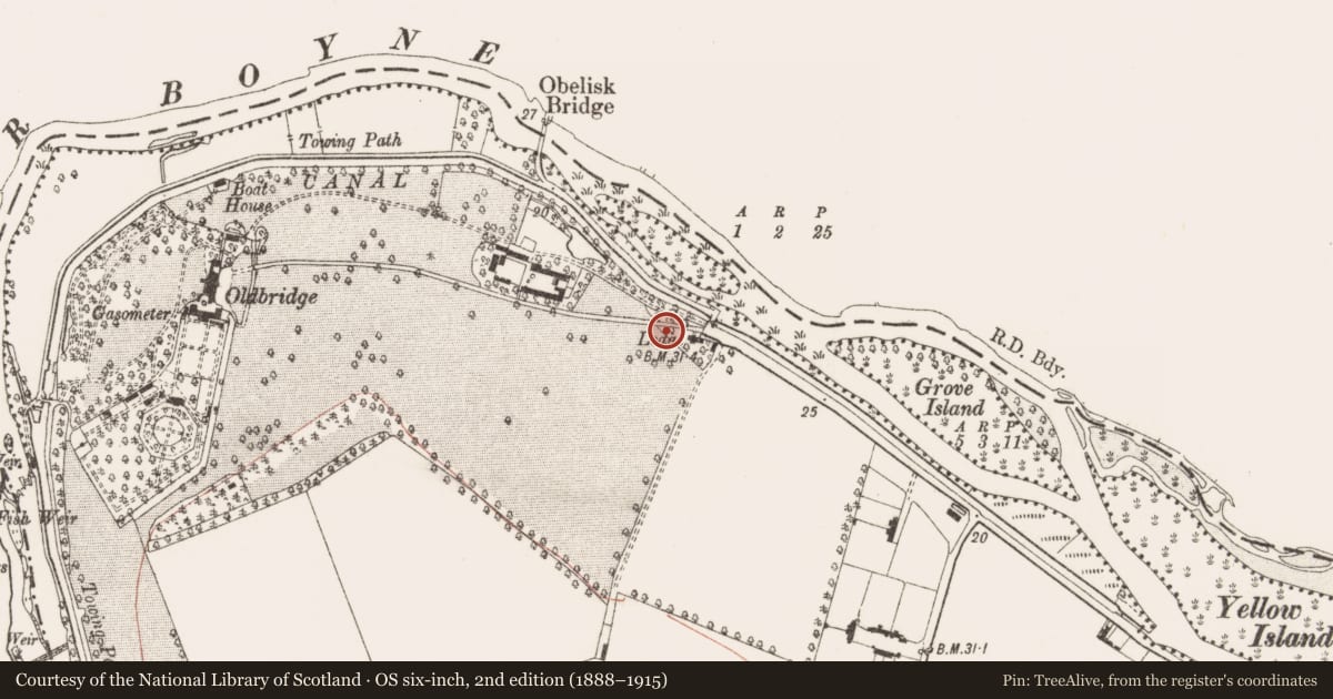 Ordnance Survey six-inch map, 2nd edition (1888–1915) covering the location of Burial, Oldbridge, County Meath, with a pin at the register's coordinates