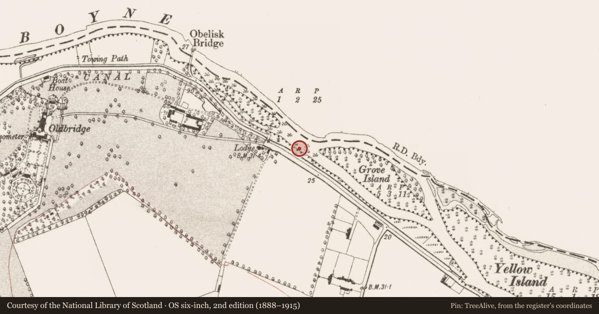 Ordnance Survey six-inch map, 2nd edition (1888–1915) covering the location of Ford, Oldbridge, County Meath, with a pin at the register's coordinates