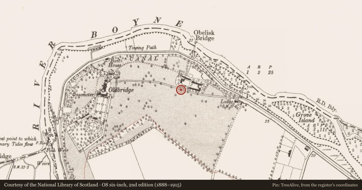 Ordnance Survey six-inch map, 2nd edition (1888–1915) covering the location of Cultivation ridges, Oldbridge, County Meath, with a pin at the register's coordinates