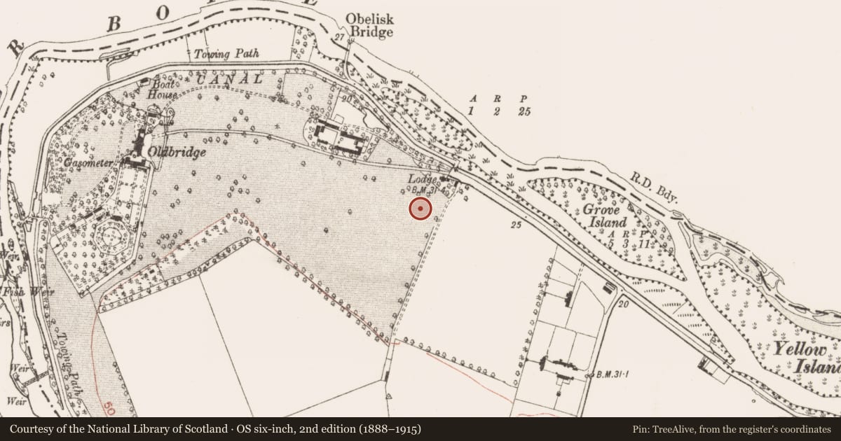 Ordnance Survey six-inch map, 2nd edition (1888–1915) covering the location of Field system, Oldbridge, County Meath, with a pin at the register's coordinates