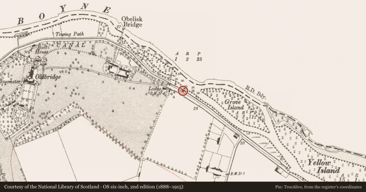 Ordnance Survey six-inch map, 2nd edition (1888–1915) covering the location of Field system, Oldbridge, County Meath, with a pin at the register's coordinates