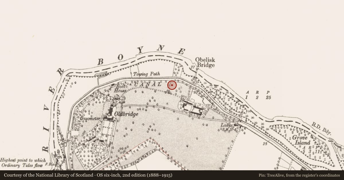 Ordnance Survey six-inch map, 2nd edition (1888–1915) covering the location of Settlement cluster, Oldbridge, County Meath, with a pin at the register's coordinates