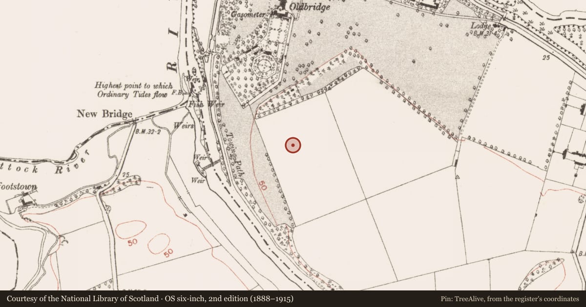 Ordnance Survey six-inch map, 2nd edition (1888–1915) covering the location of Ring-ditch, Oldbridge, County Meath, with a pin at the register's coordinates