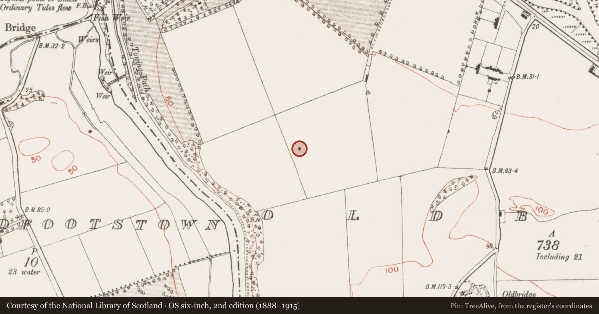 Ordnance Survey six-inch map, 2nd edition (1888–1915) covering the location of Ring-ditch, Oldbridge, County Meath, with a pin at the register's coordinates