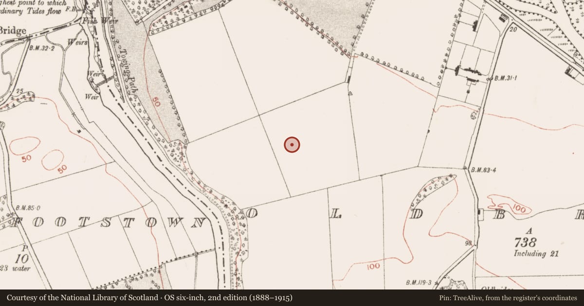 Ordnance Survey six-inch map, 2nd edition (1888–1915) covering the location of Ring-ditch, Oldbridge, County Meath, with a pin at the register's coordinates