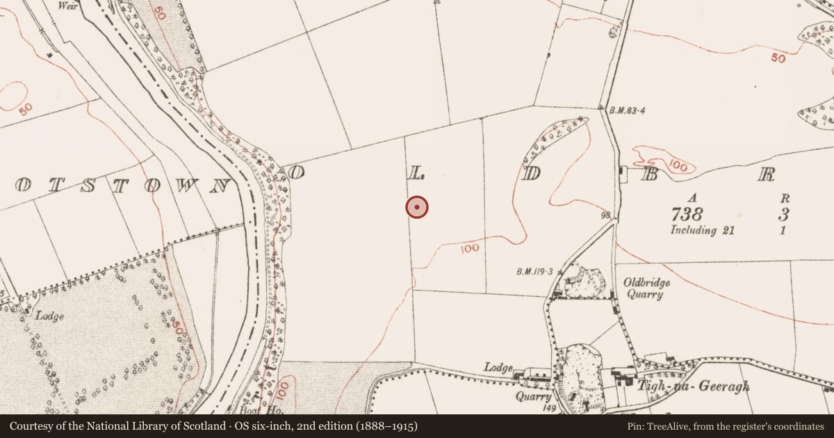 Ordnance Survey six-inch map, 2nd edition (1888–1915) covering the location of Prehistoric site - lithic scatter, Oldbridge, County Meath, with a pin at the register's coordinates