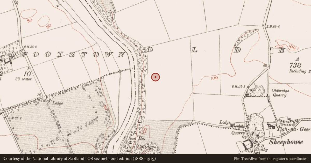 Ordnance Survey six-inch map, 2nd edition (1888–1915) covering the location of Prehistoric site - lithic scatter, Oldbridge, County Meath, with a pin at the register's coordinates