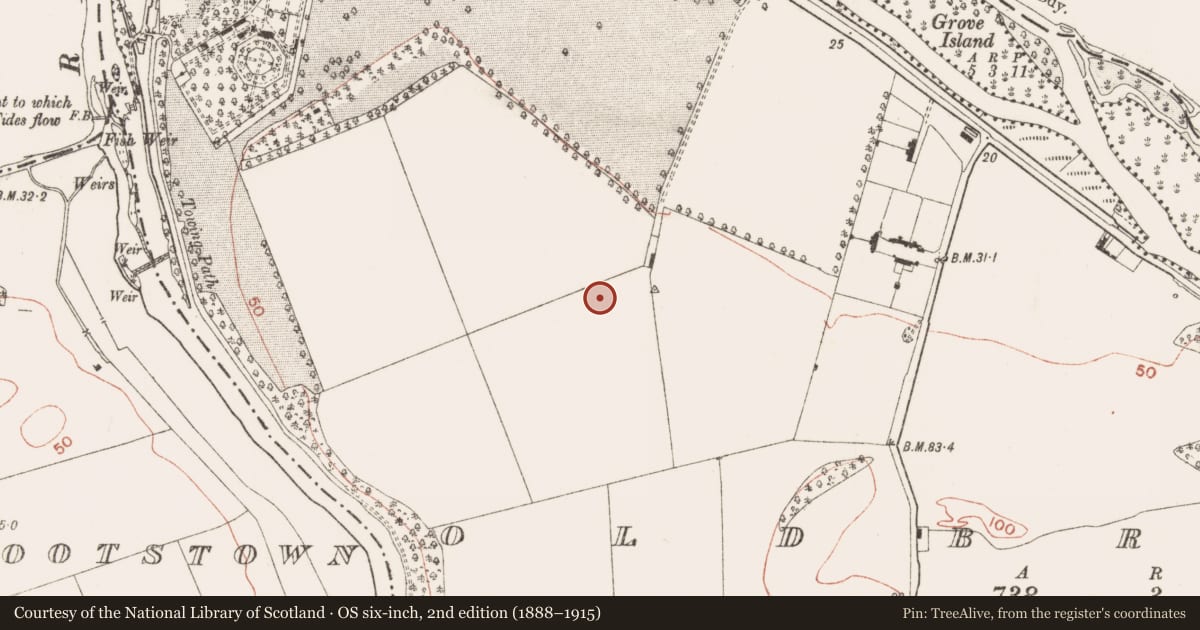 Ordnance Survey six-inch map, 2nd edition (1888–1915) covering the location of Prehistoric site - lithic scatter, Oldbridge, County Meath, with a pin at the register's coordinates