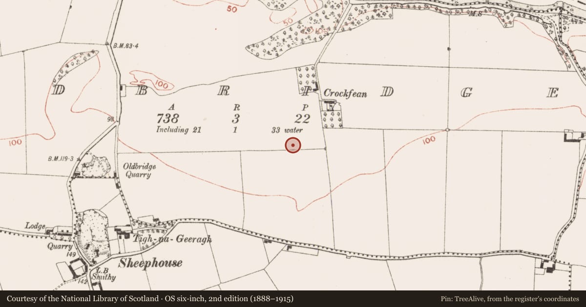 Ordnance Survey six-inch map, 2nd edition (1888–1915) covering the location of Prehistoric site - lithic scatter, Oldbridge, County Meath, with a pin at the register's coordinates