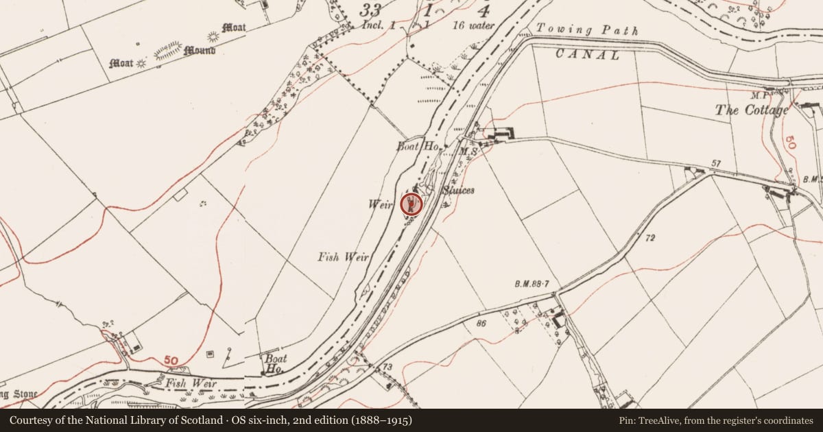 Ordnance Survey six-inch map, 2nd edition (1888–1915) covering the location of Weir - fish, Dowth, Stalleen, County Meath, with a pin at the register's coordinates