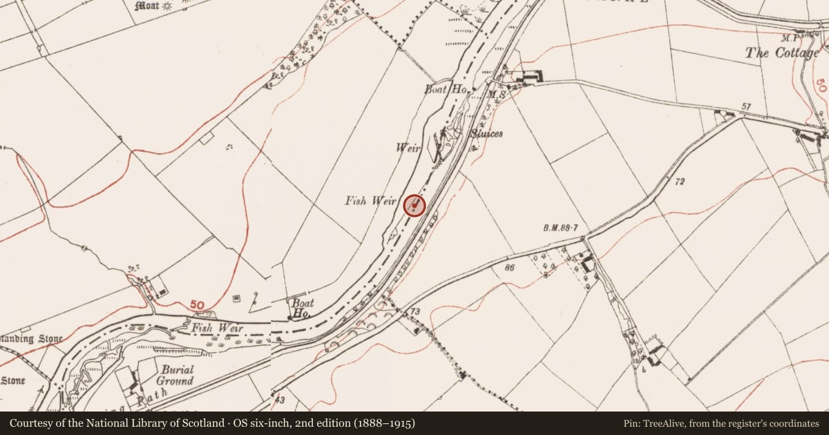 Ordnance Survey six-inch map, 2nd edition (1888–1915) covering the location of Weir - fish, Dowth, Stalleen, County Meath, with a pin at the register's coordinates