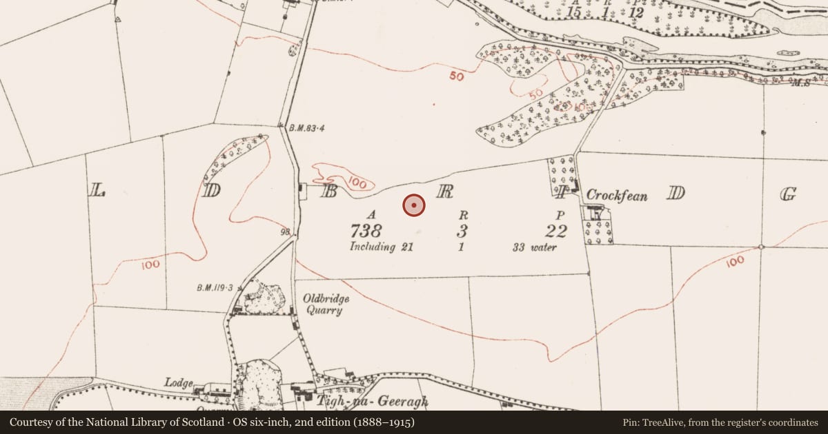 Ordnance Survey six-inch map, 2nd edition (1888–1915) covering the location of Standing stone, Oldbridge, County Meath, with a pin at the register's coordinates