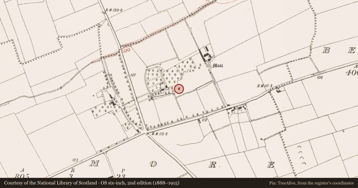 Ordnance Survey six-inch map, 2nd edition (1888–1915) covering the location of Building, Bey More, County Meath, with a pin at the register's coordinates