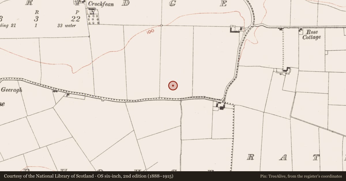 Ordnance Survey six-inch map, 2nd edition (1888–1915) covering the location of Excavation - miscellaneous, Oldbridge, County Meath, with a pin at the register's coordinates