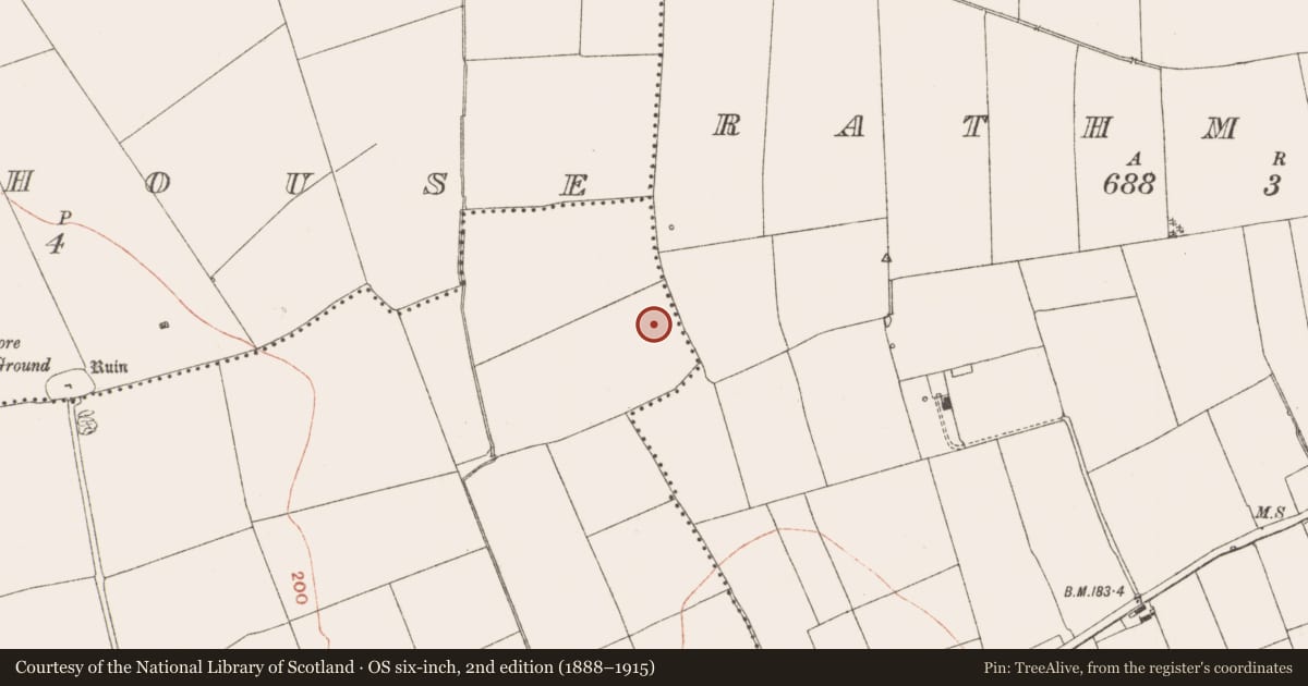 Ordnance Survey six-inch map, 2nd edition (1888–1915) covering the location of Habitation site, Donore, County Meath, with a pin at the register's coordinates