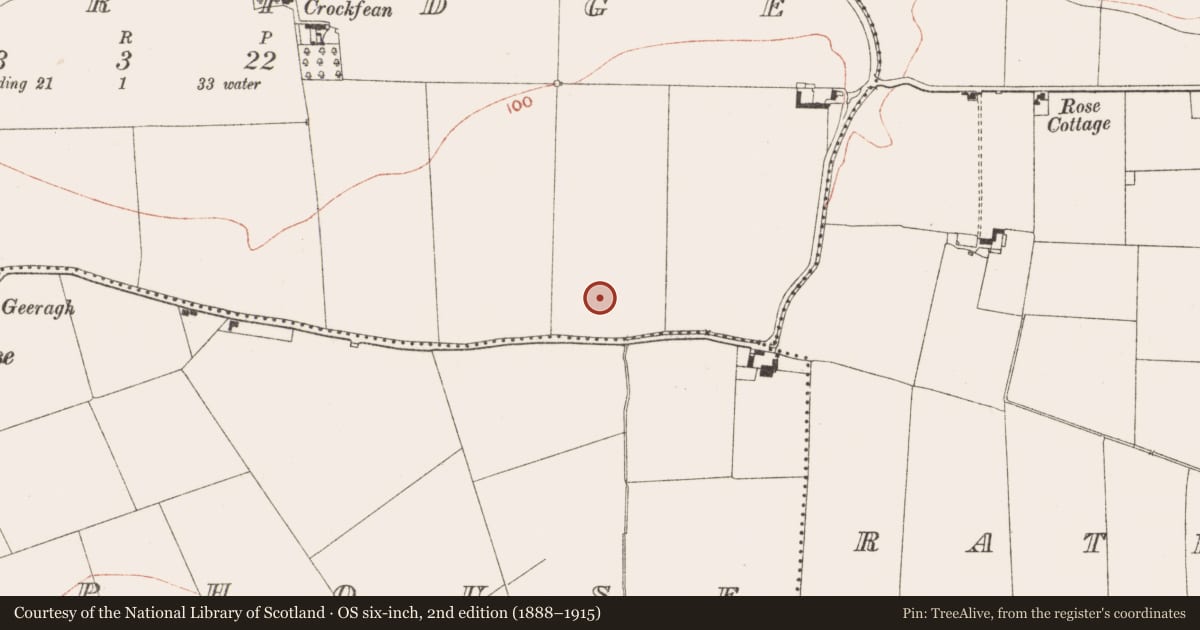 Ordnance Survey six-inch map, 2nd edition (1888–1915) covering the location of Excavation - miscellaneous, Oldbridge, County Meath, with a pin at the register's coordinates