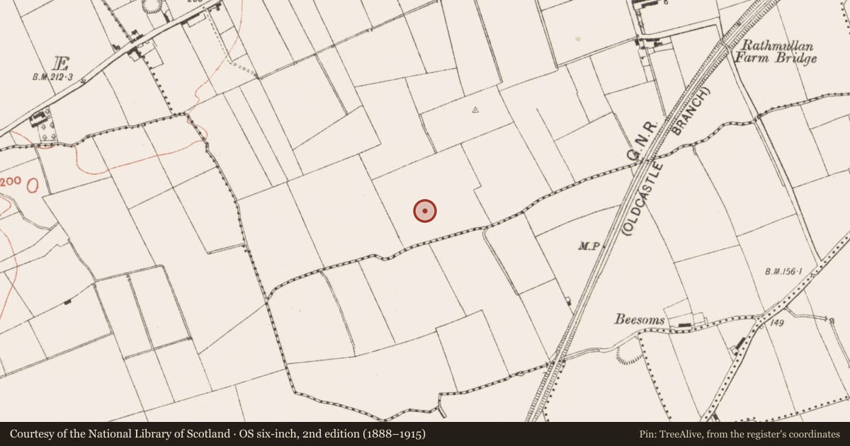 Ordnance Survey six-inch map, 2nd edition (1888–1915) covering the location of Excavation - miscellaneous, Rathmullan, County Meath, with a pin at the register's coordinates