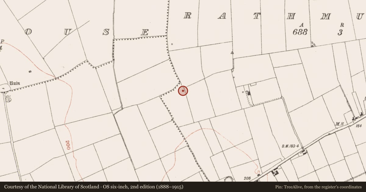 Ordnance Survey six-inch map, 2nd edition (1888–1915) covering the location of Excavation - miscellaneous, Rathmullan, County Meath, with a pin at the register's coordinates