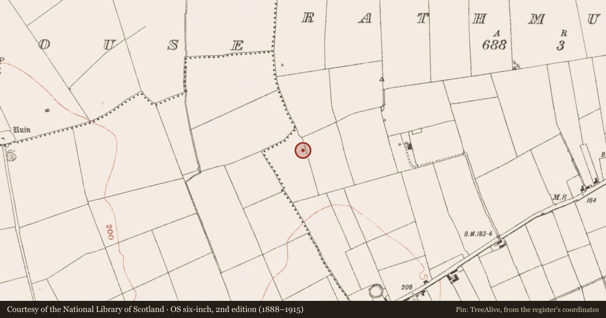 Ordnance Survey six-inch map, 2nd edition (1888–1915) covering the location of Excavation - miscellaneous, Rathmullan, County Meath, with a pin at the register's coordinates